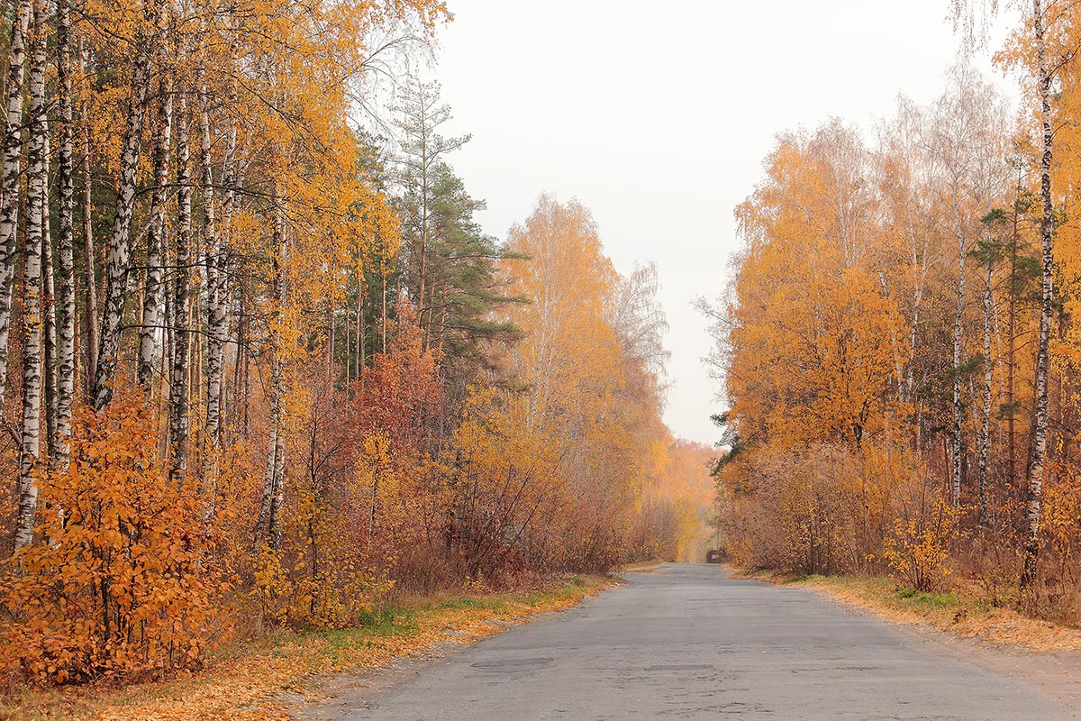 Осень, желтая подруга