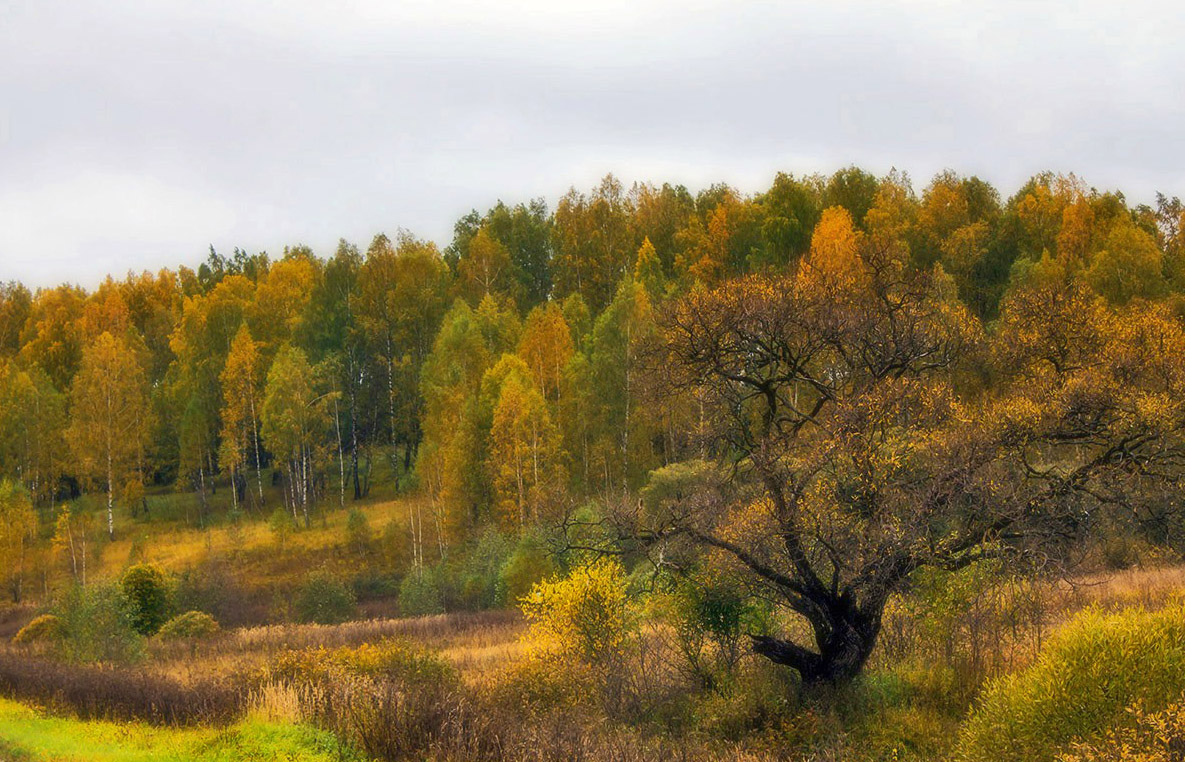 Осень