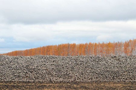 Уж небо осенью...