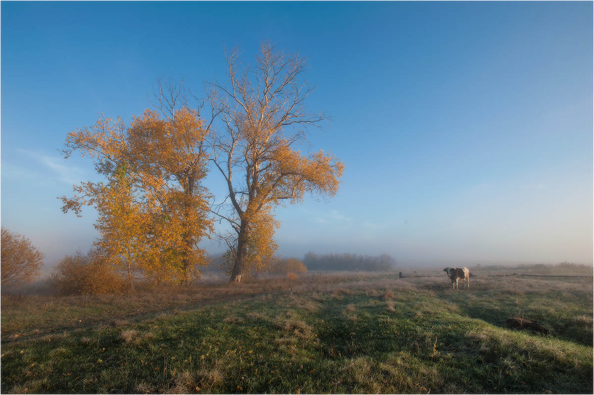 Утречко