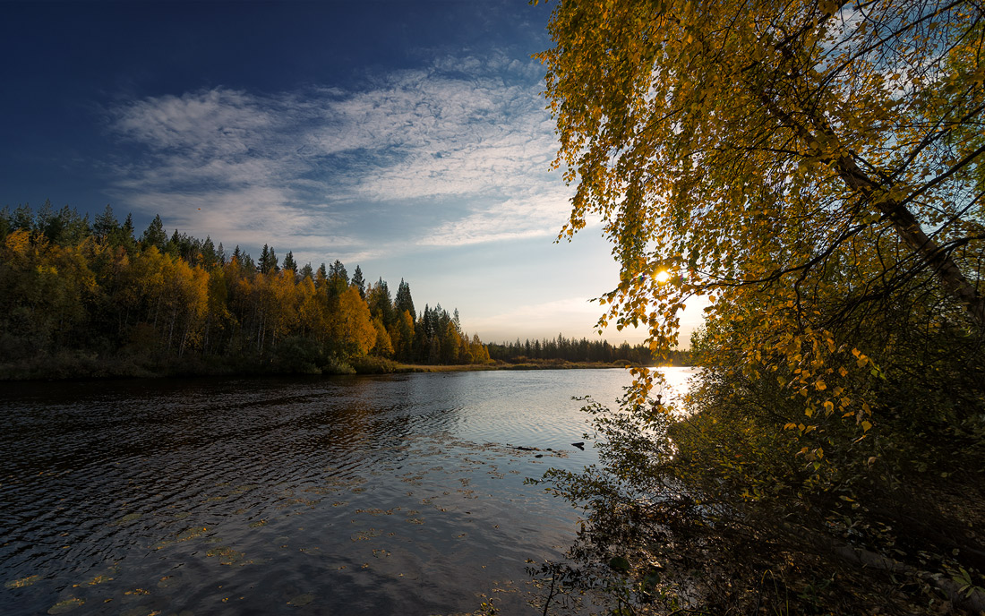 Осень в разгаре