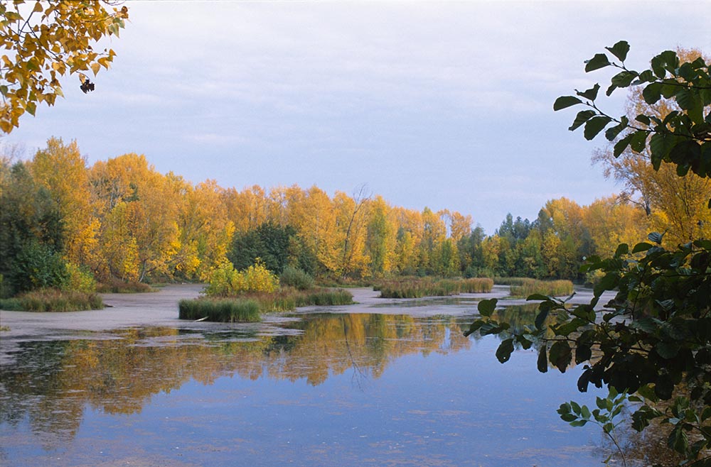 краски осени