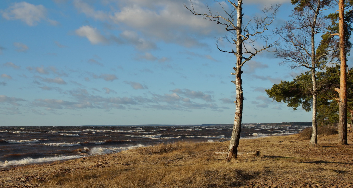 Посвежело