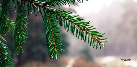 Совершенство в деталях.