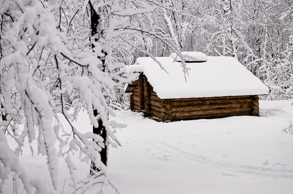 Украинская зима