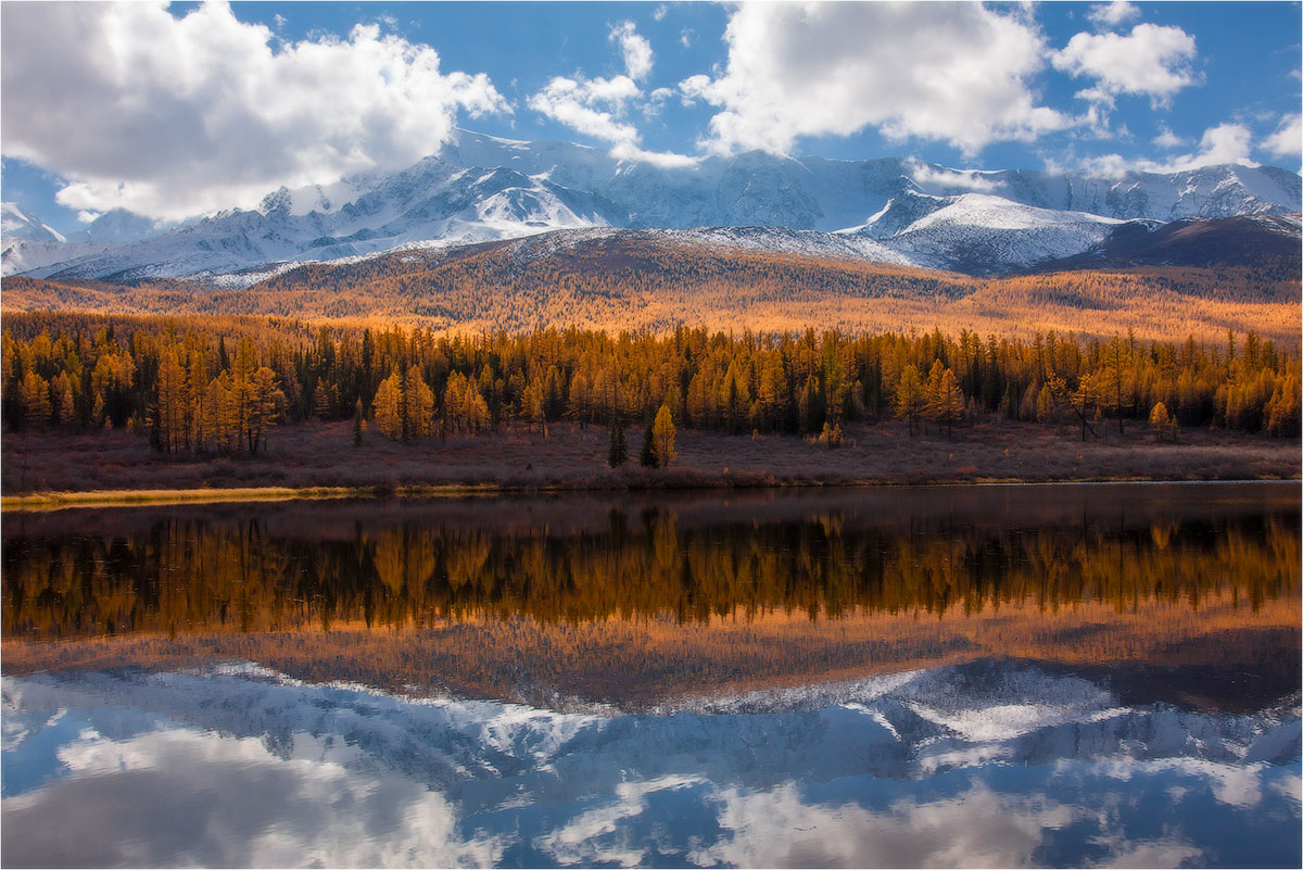 Осеннее