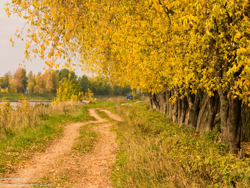 Осень на берегу канала.