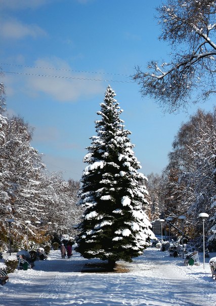 Первый снег