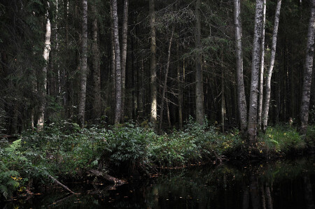 Речка Перовка