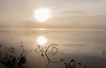 Городское озеро