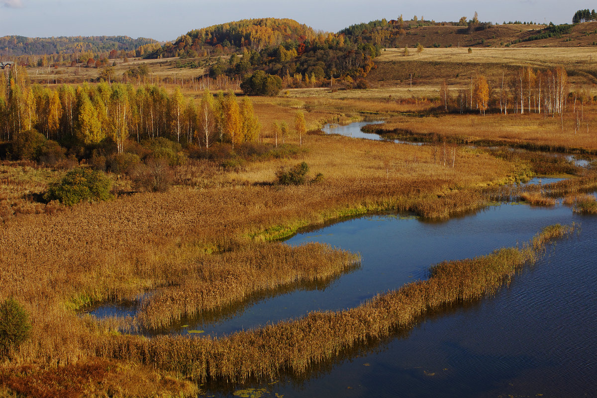 Псковские краски