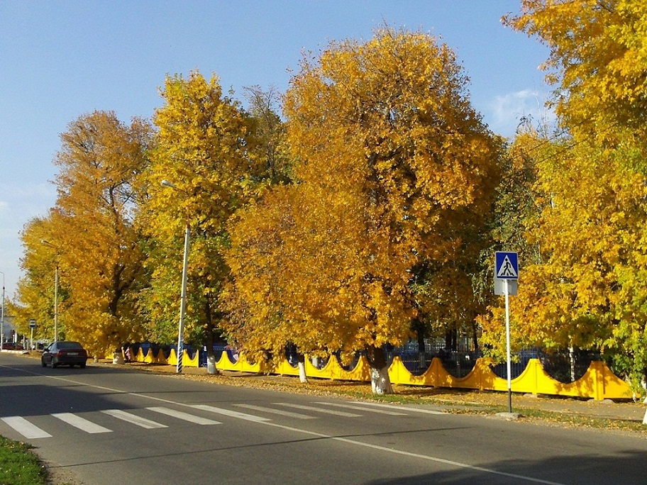 золотые мгновенья осени