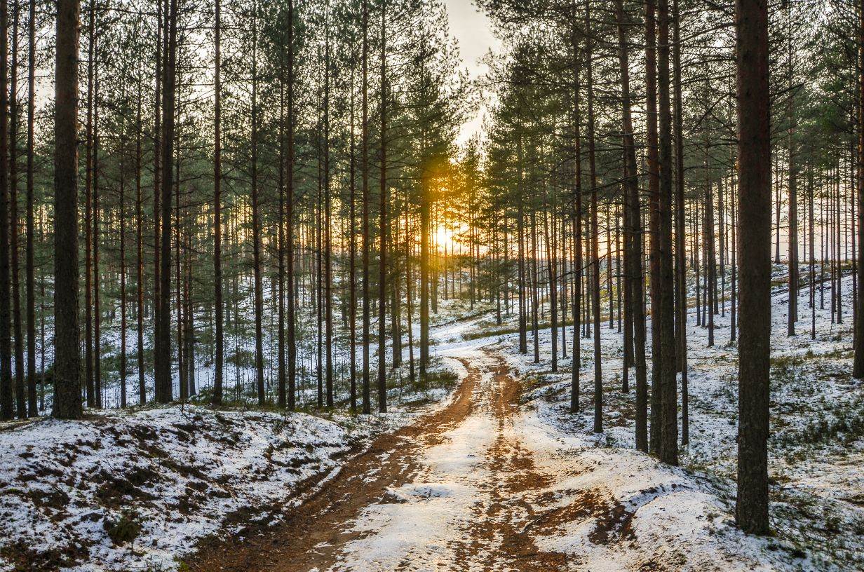 После первого снега