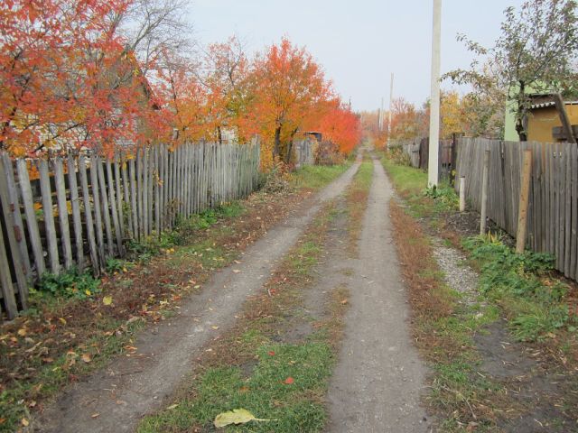 Осень в садах.