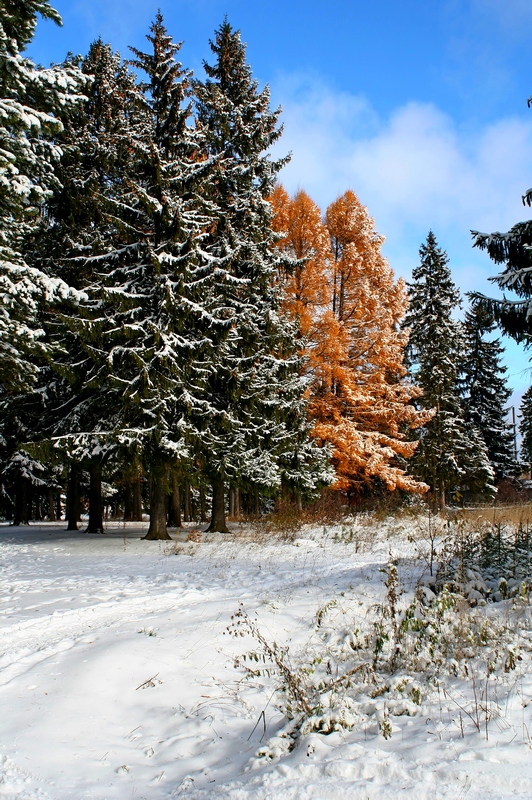 Встреча осени с зимой.