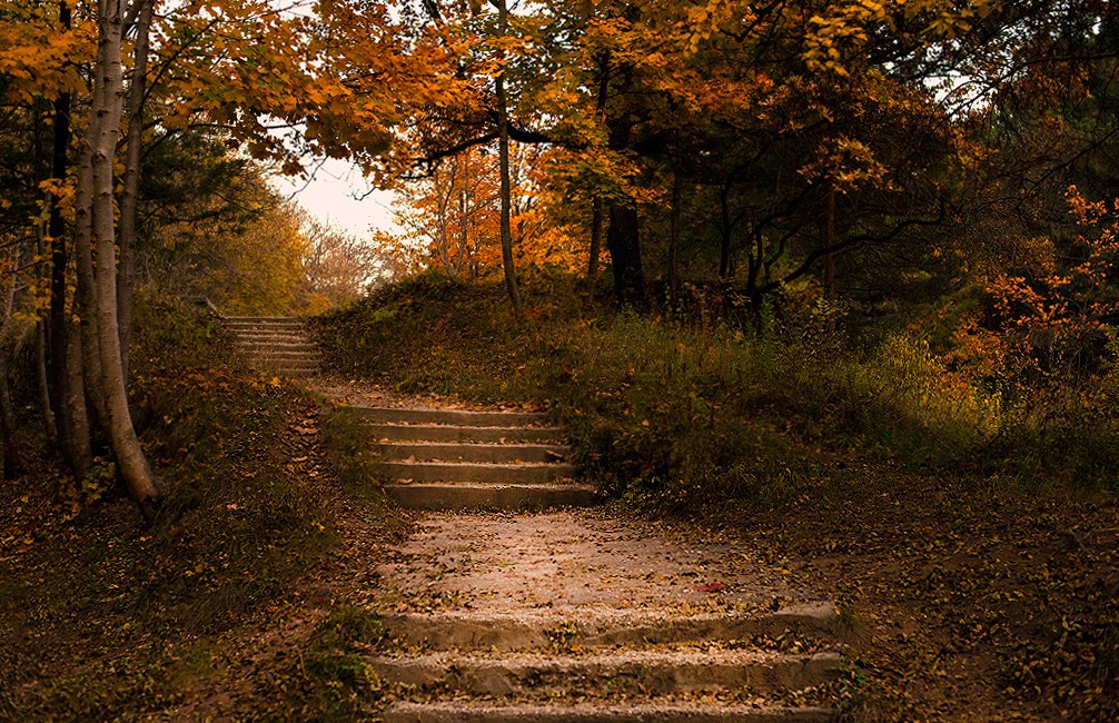 Кисловодск(парк)