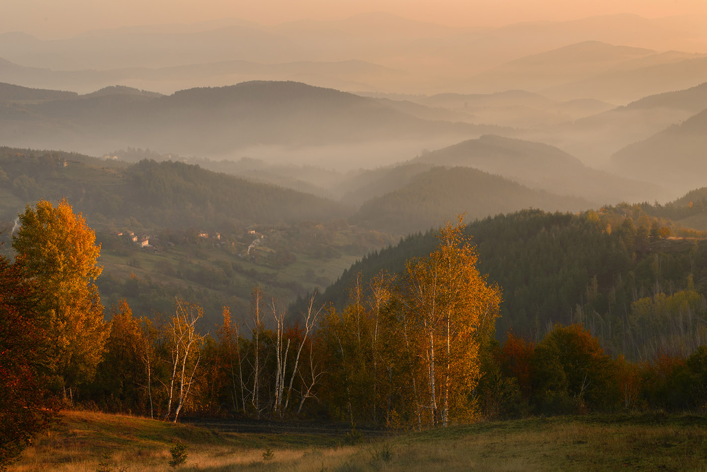 Утром