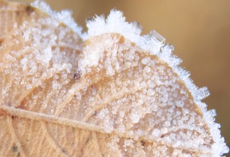 кристаллы "Сваровски"