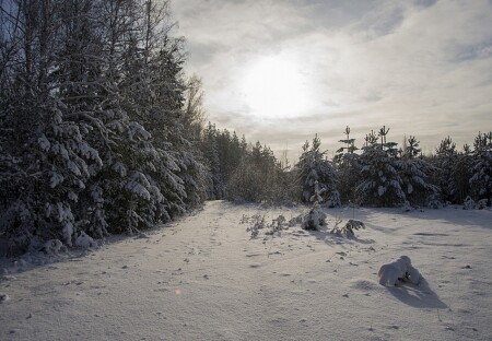 зимнее настроение
