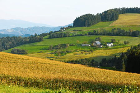 Каринтия