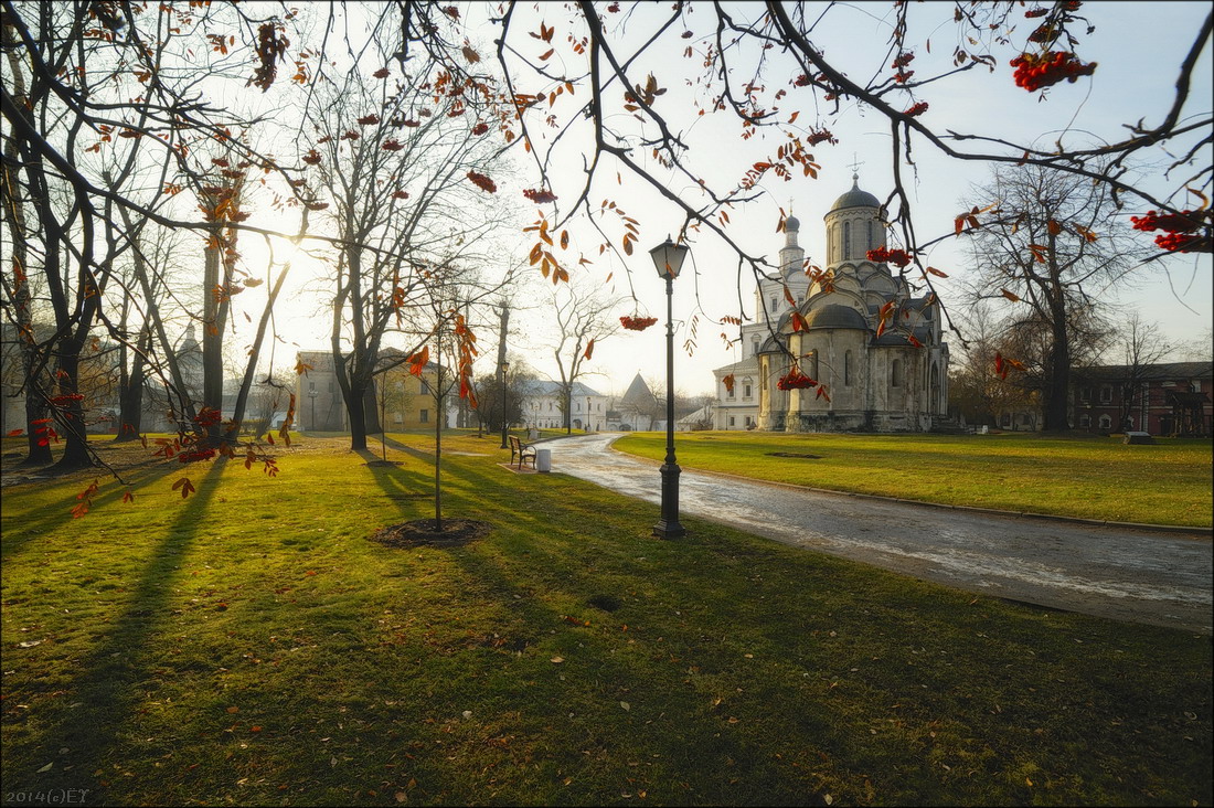 В цвете рябины