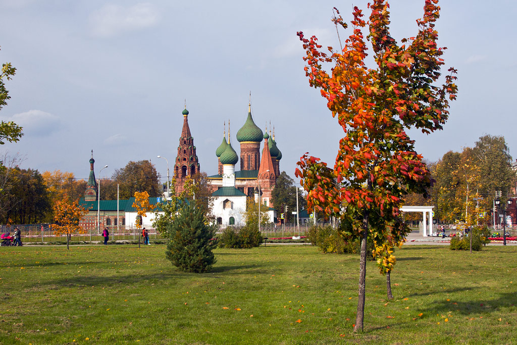 Осенний сюжет