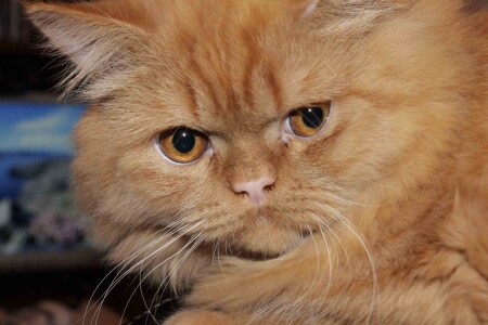 Внимательно...