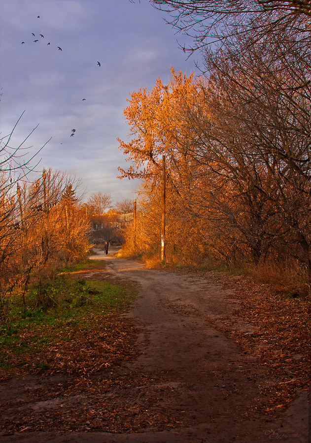 Последнее тепло