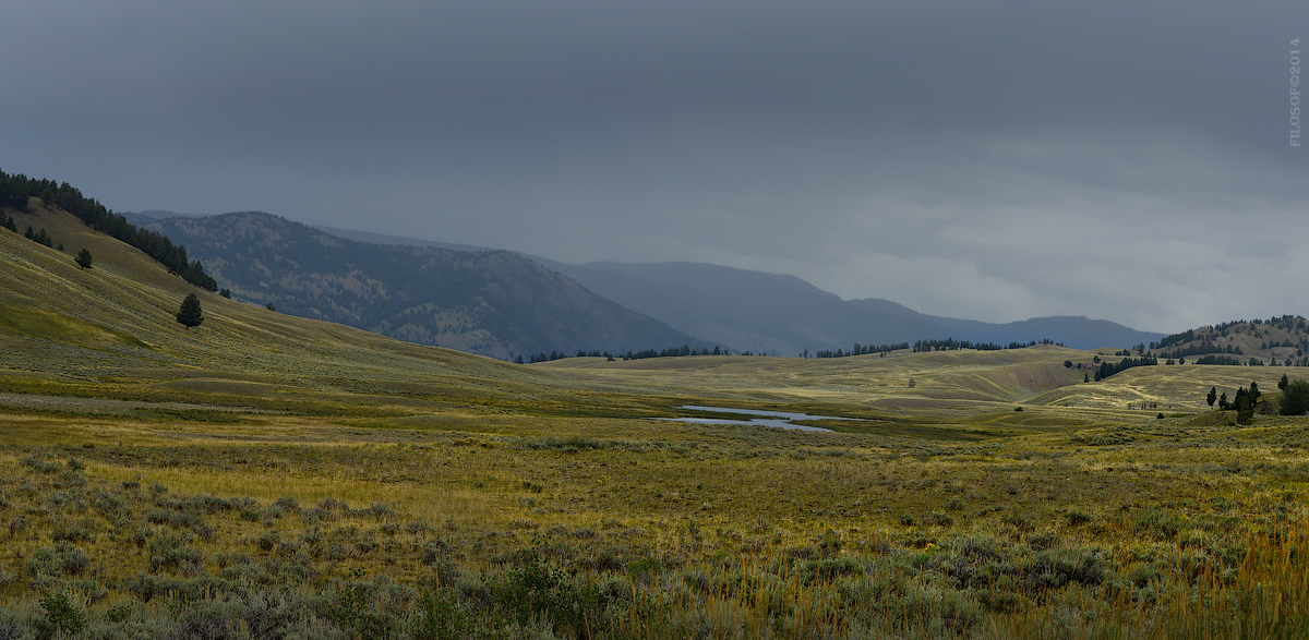 Yellowstone National Park