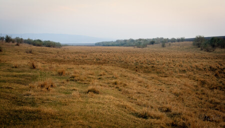 Просторы моей родины