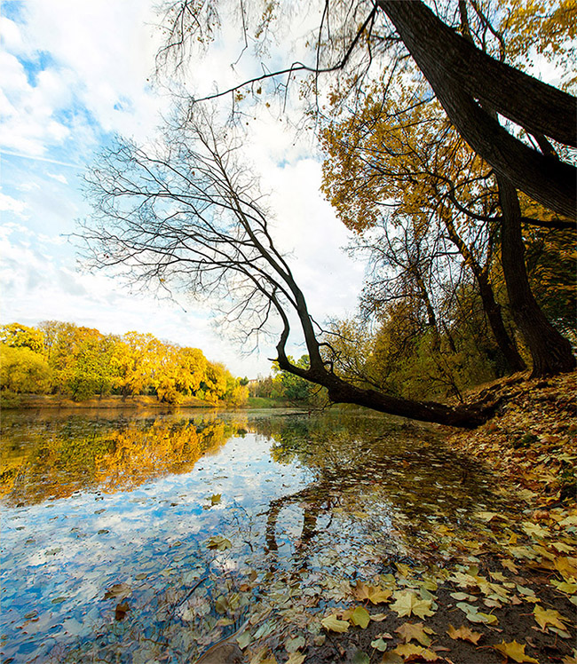 Золотая осень