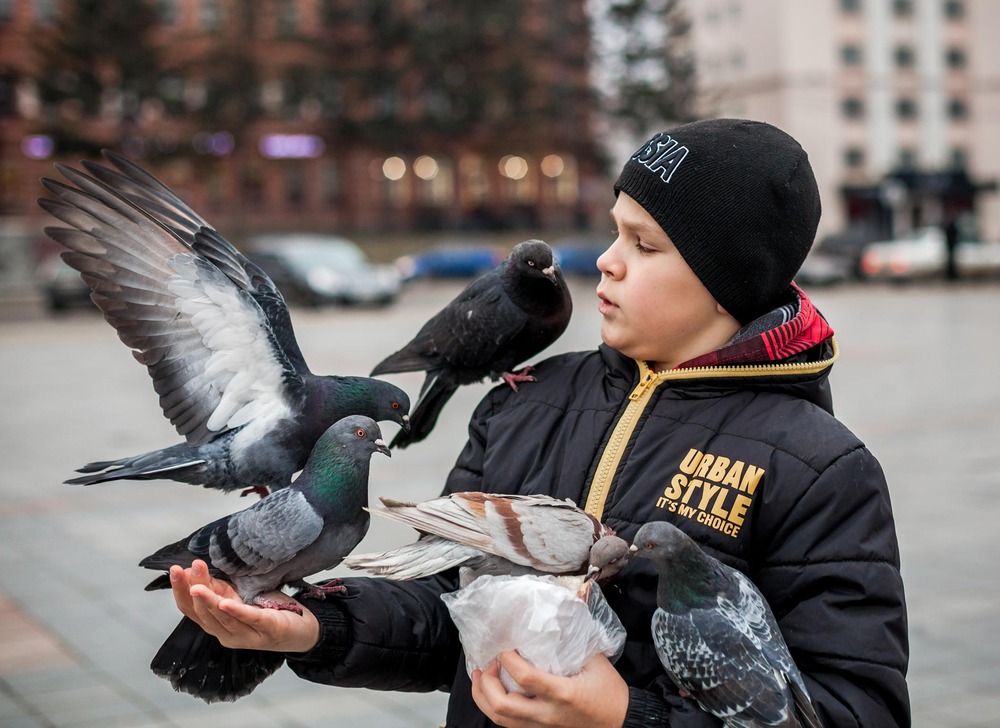 - Я тут друзей привёл...