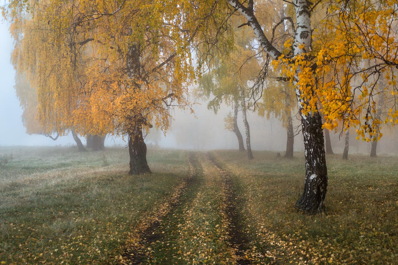 Осенней тропой