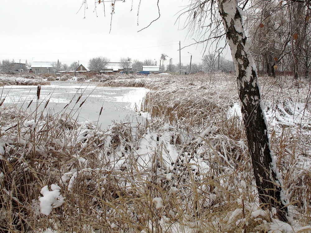 у озера березка стояла