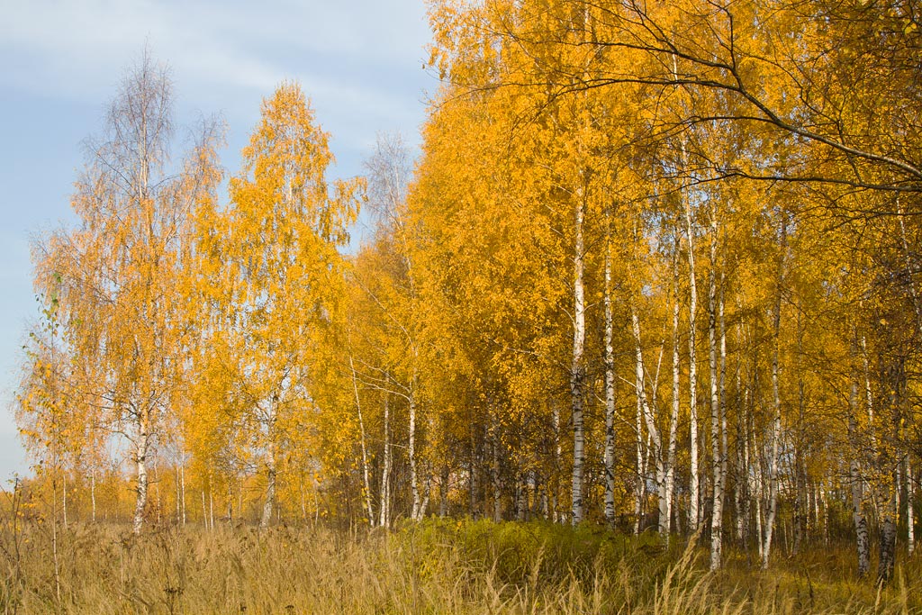 В прошедшем времени