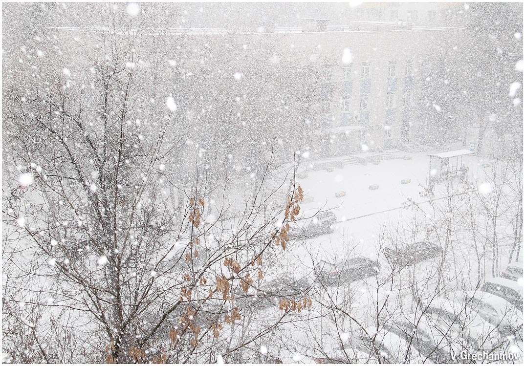 Снег в большом городе