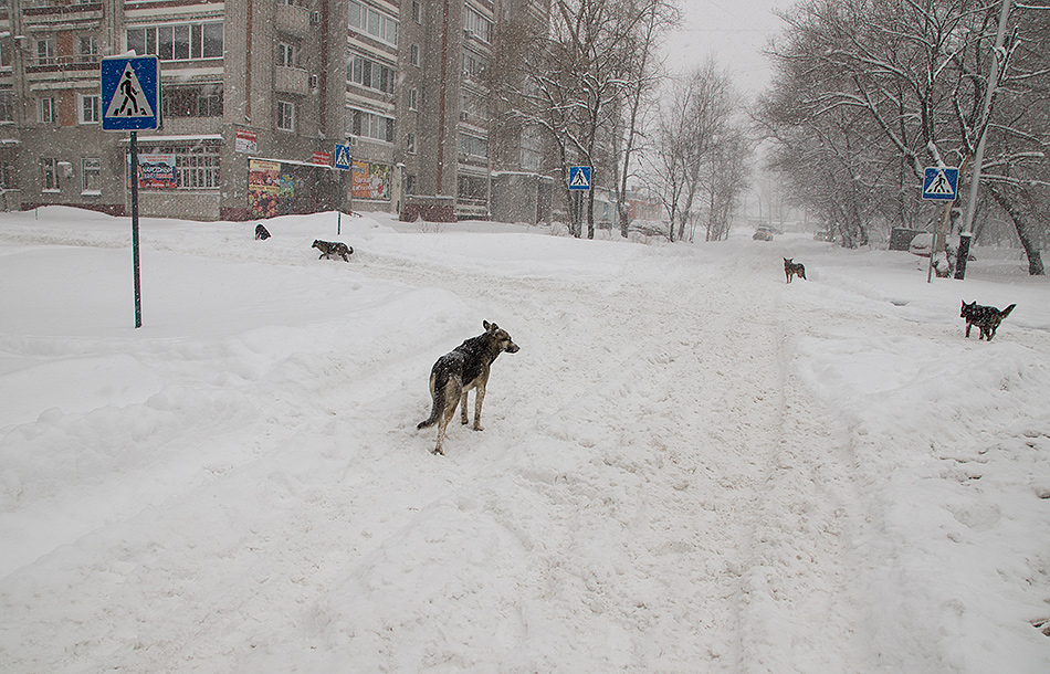 Перекрёсток.