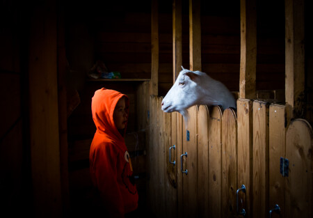 Знакомство.
