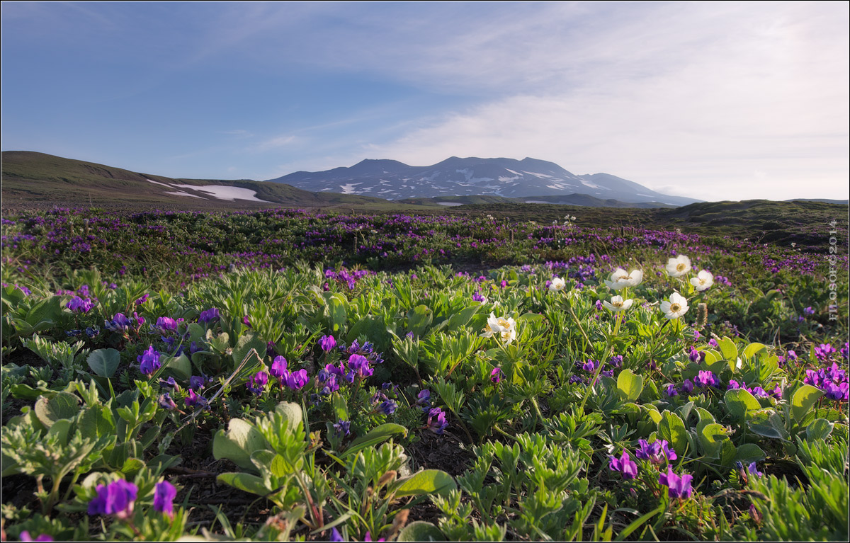 Russia. Kamchatka.