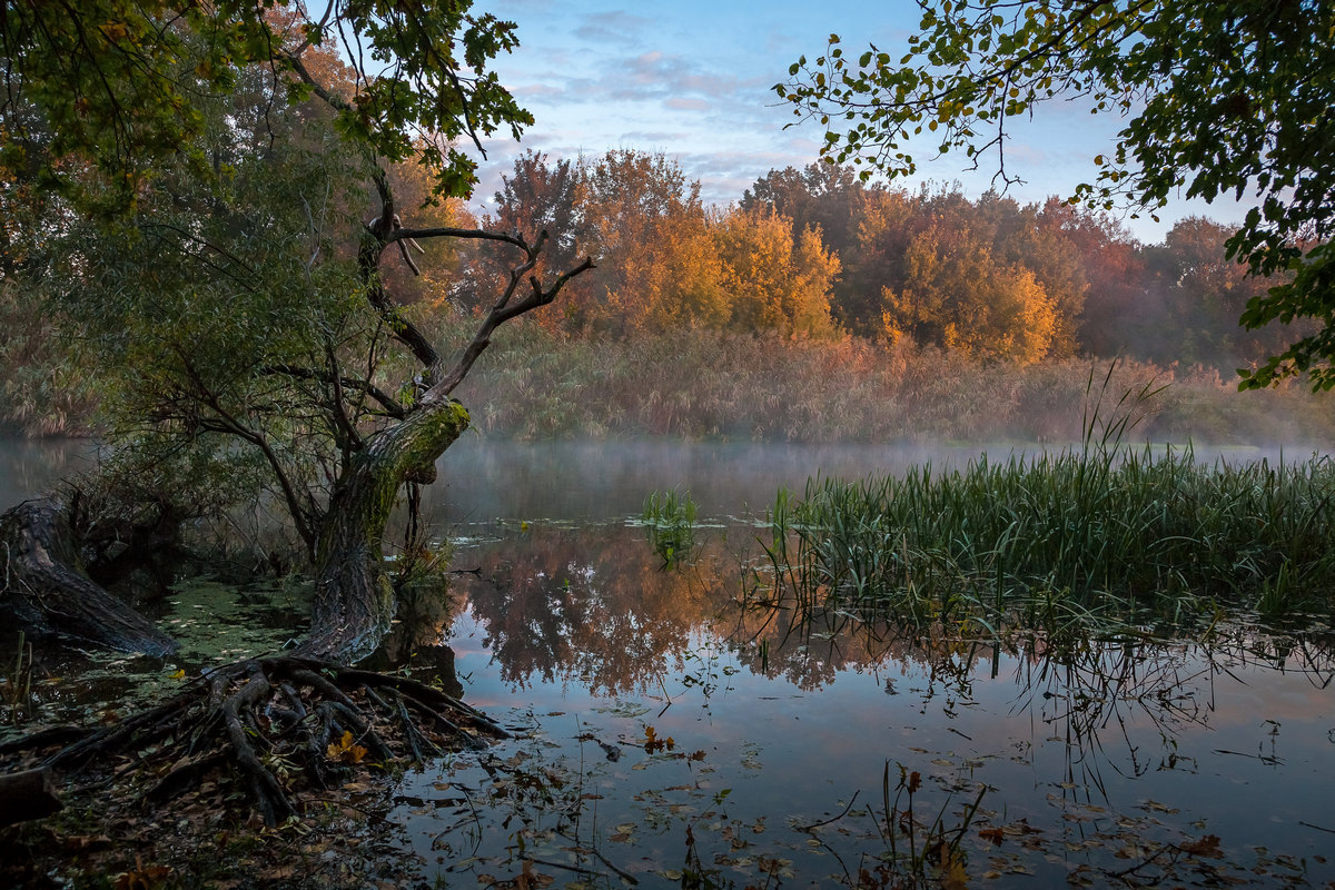 Осенний берег