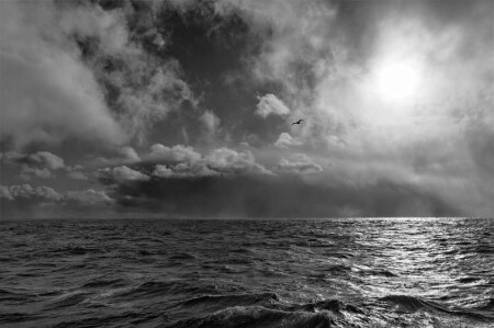 Виды природы