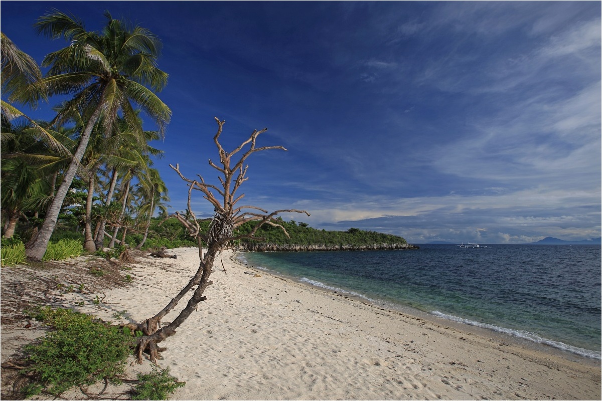 Malapascua Wild Beach