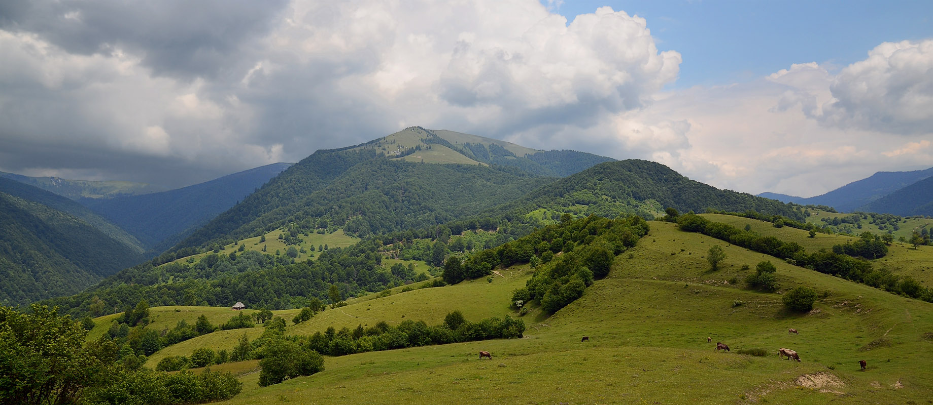 Луга колочавские