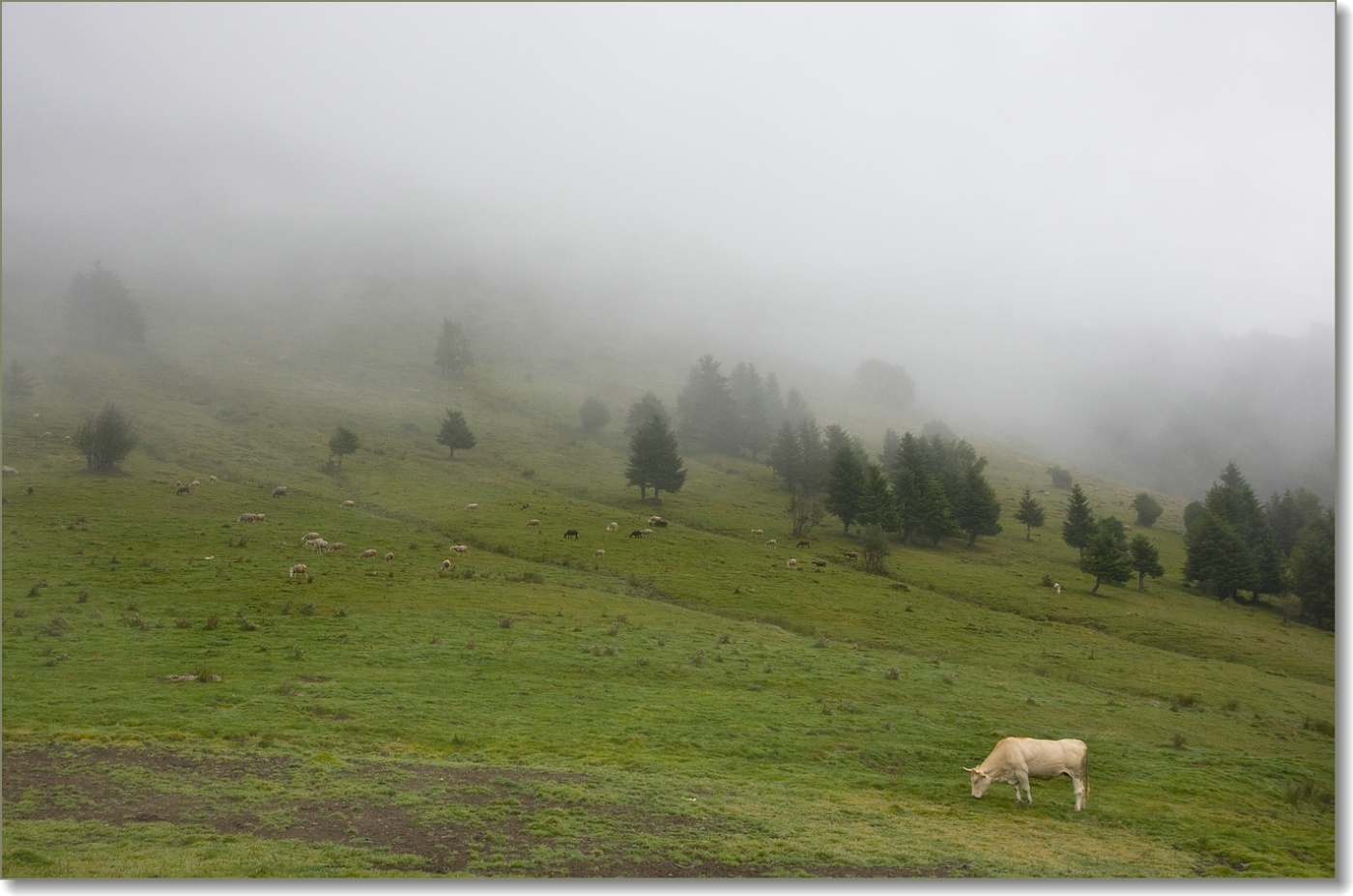 Col d'Aspin