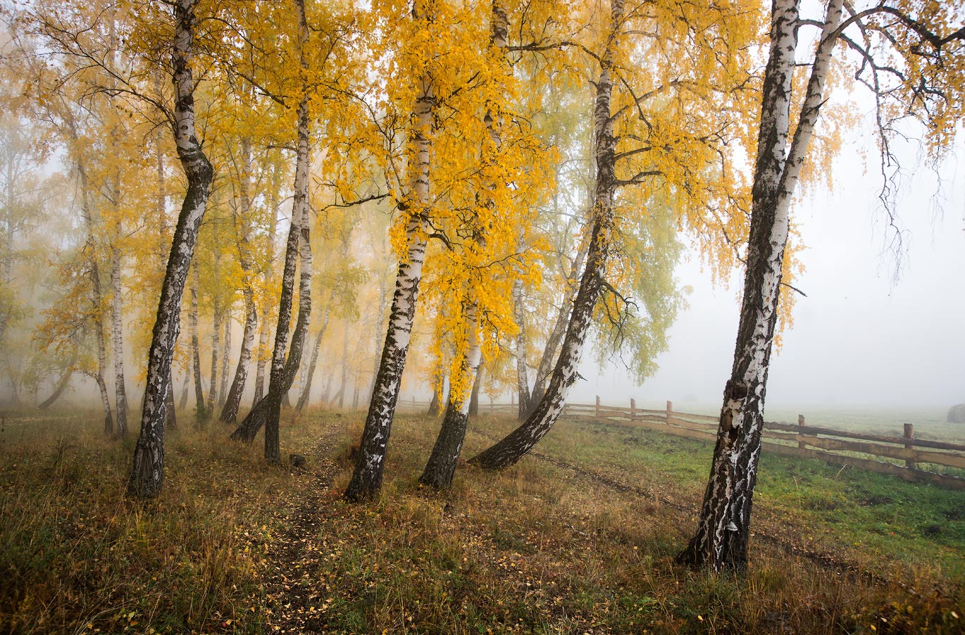 Осенним утром