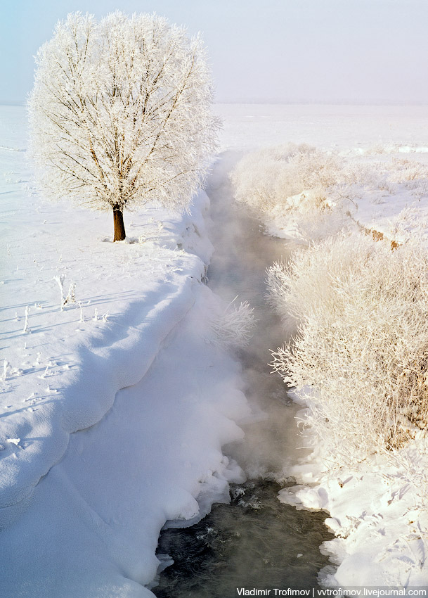 Куржак