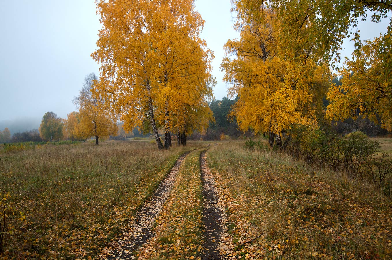 Уральские красавицы