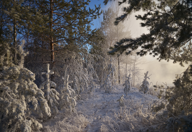 Предзимье