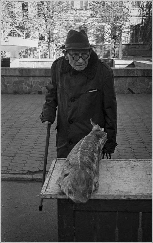 осетровое фото