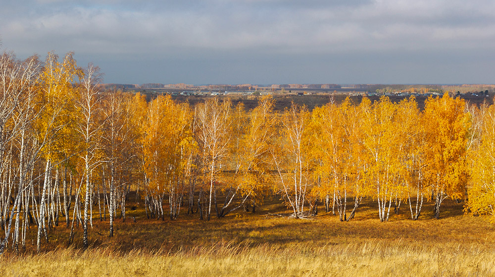 Золотая осень.